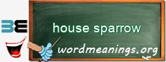WordMeaning blackboard for house sparrow